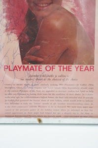 Vintage Picture of Playmate of the Year Jo Collins - ohiohippiessmokeshop.com