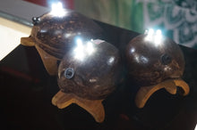 Load image into Gallery viewer, Coco Collection Turtle Lamps - ohiohippiessmokeshop.com
